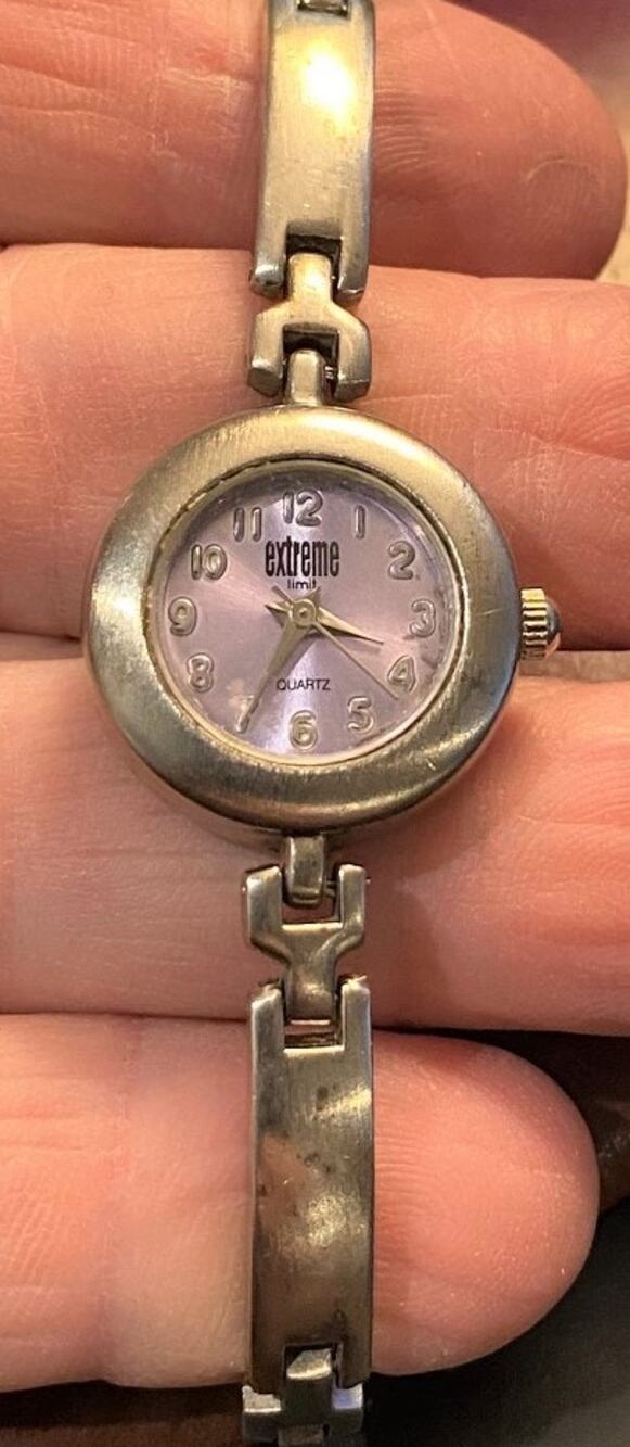 Women's Brushed Metal Tone Extreme Limit Watch, Lilac Face